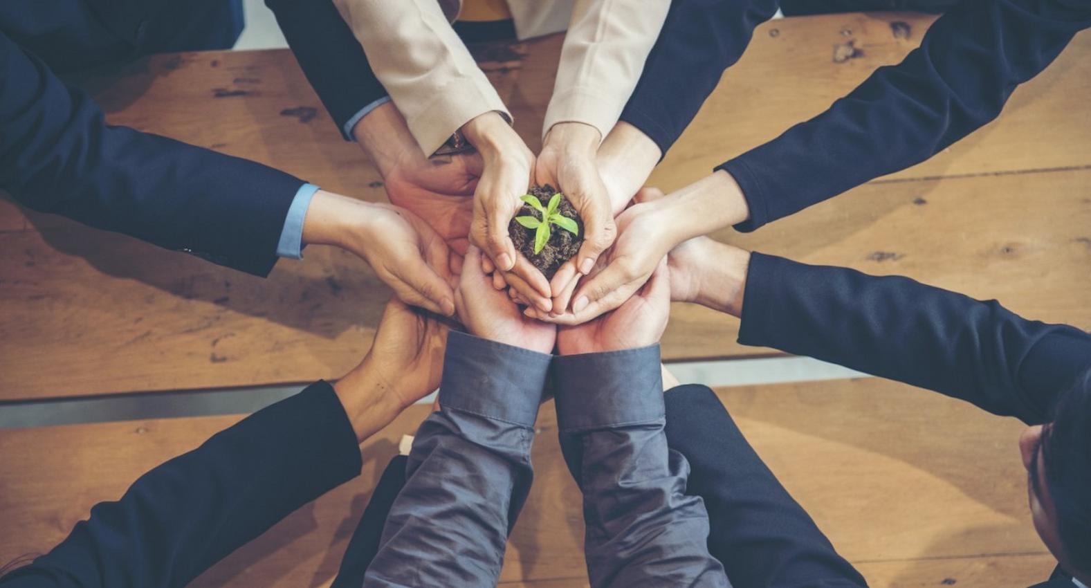 A imagem mostra várias pessoas com as mãos empilhadas, segurando uma muda de planta. As pessoas não aparecem na imagem.