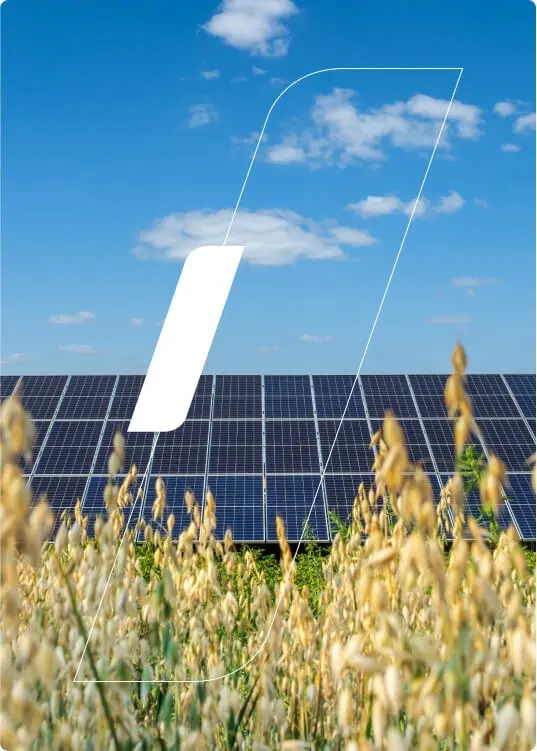 Um campo com placas solares ao fundo. Céu azul com poucas nuvens.