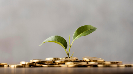Imagem de moedas douradas espalhadas em uma superfície cinza. Sobre as moedas está o broto de uma planta, que aparenta estar crescendo a partir do dinheiro. 