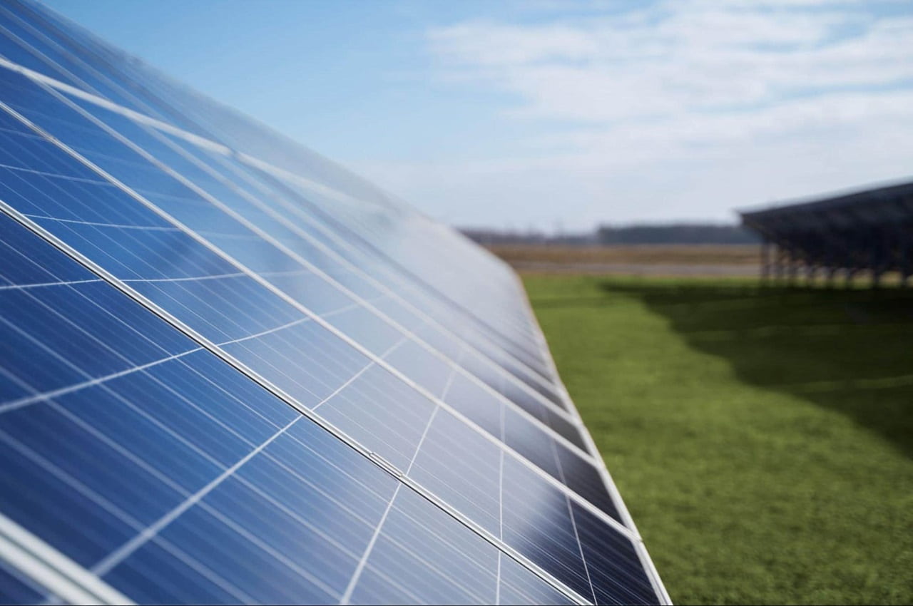 Close-up de placas fotovoltaicas alinhadas em campo verde.