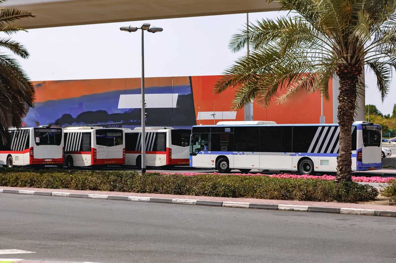 Vários ônibus estacionados em um espaço aberto, sob árvores e céu claro, em um ambiente urbano.