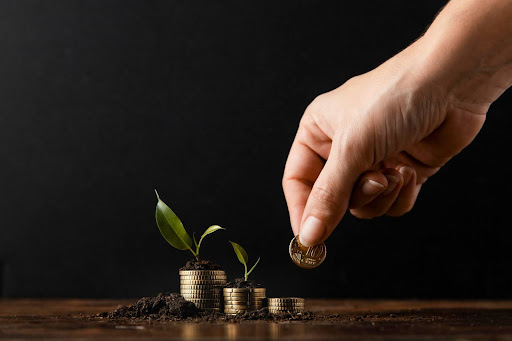 Três pilhas de moedas organizadas de forma crescente. Nessas pilhas, brotos de plantas aparecem estar crescendo, como se o dinheiro estivesse sendo plantado. 