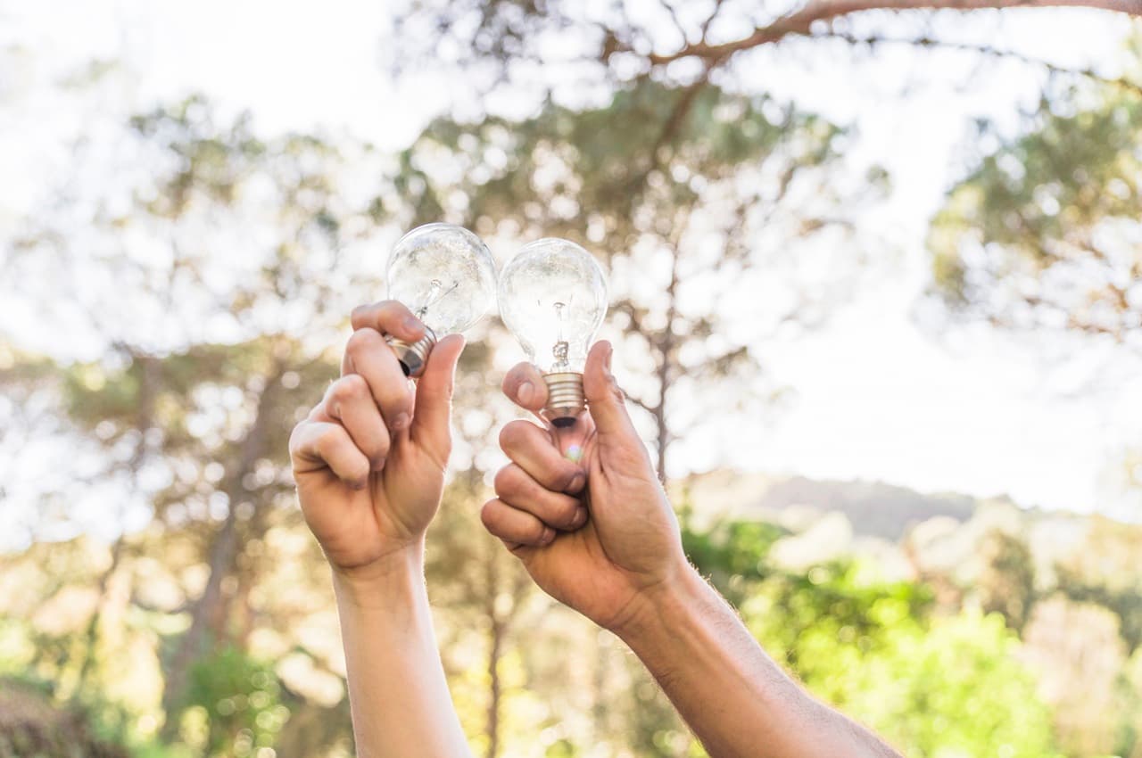Duas mãos erguidas segurando lâmpadas transparentes que se tocam, com um fundo desfocado de árvores iluminadas pela luz do sol.